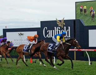 Black Heart Bart winning the NZB Memsie Stakes